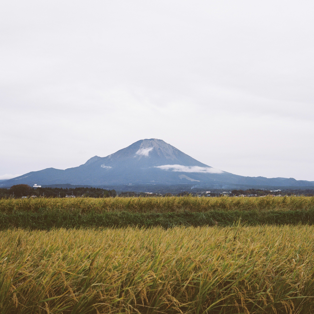 f:id:PE110:20191124201053j:plain