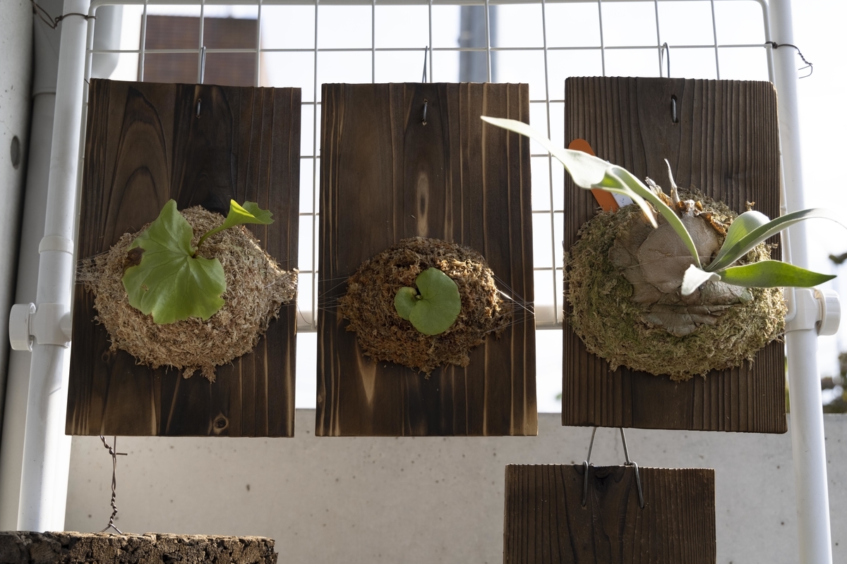 f:id:PE110:20210924214238j:plain