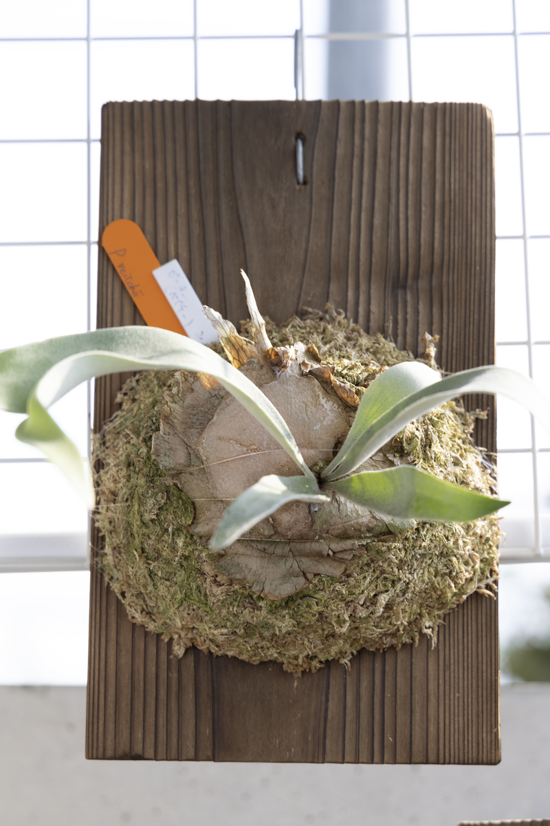 f:id:PE110:20210924214325j:plain