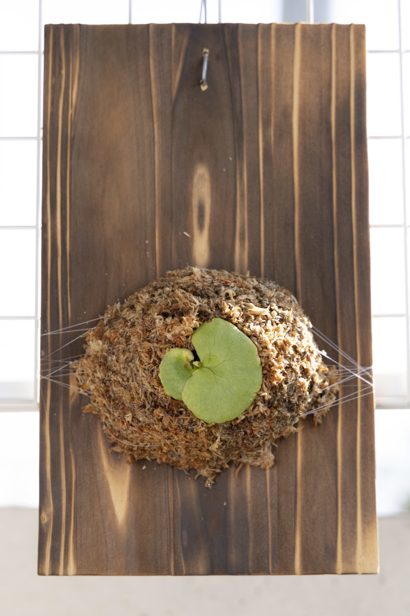 f:id:PE110:20210924214346j:plain