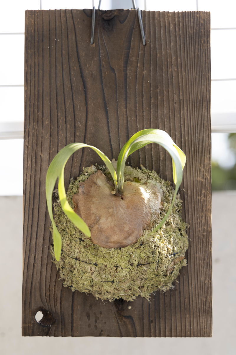 f:id:PE110:20210924214429j:plain