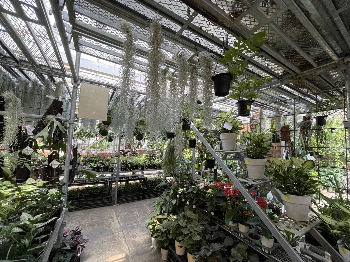 f:id:PE110:20210924224536j:plain