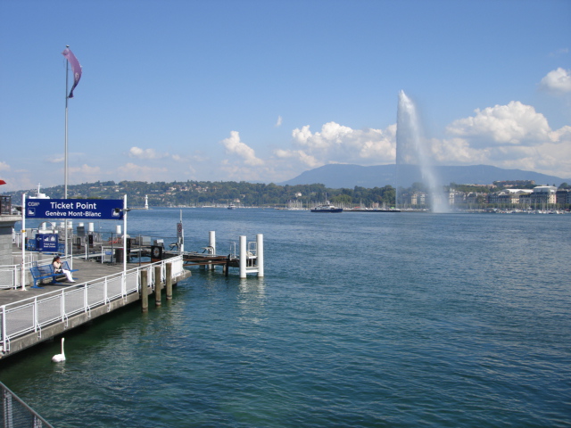 f:id:PECHEDENFER:20161204150158j:plain f:id:PECHEDENFER:20161204150158j:plain