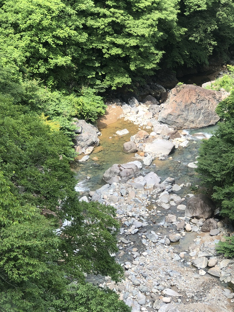 愛知ではなく尾張と三河 バス代わりの飛行機