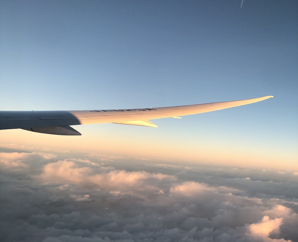 f:id:PECHEDENFER:20201206124546j:plain