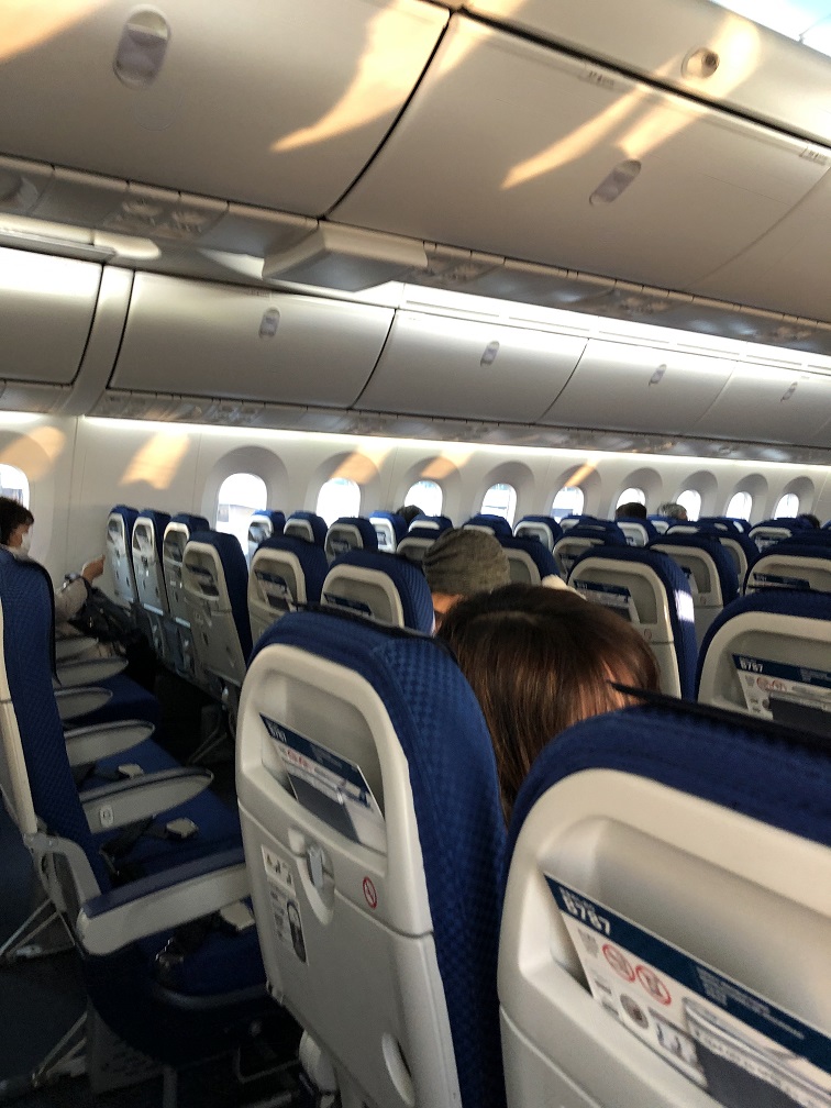 f:id:PECHEDENFER:20201206130150j:plain