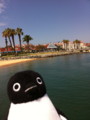 f:id:PENGUINS_PROJECT:20110705112158j:image:medium