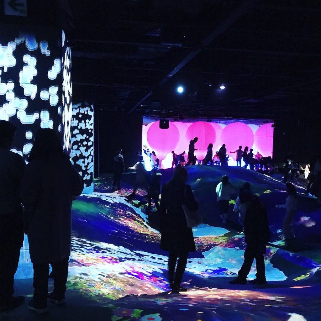 f:id:PENGUINS_PROJECT:20190213135751j:image