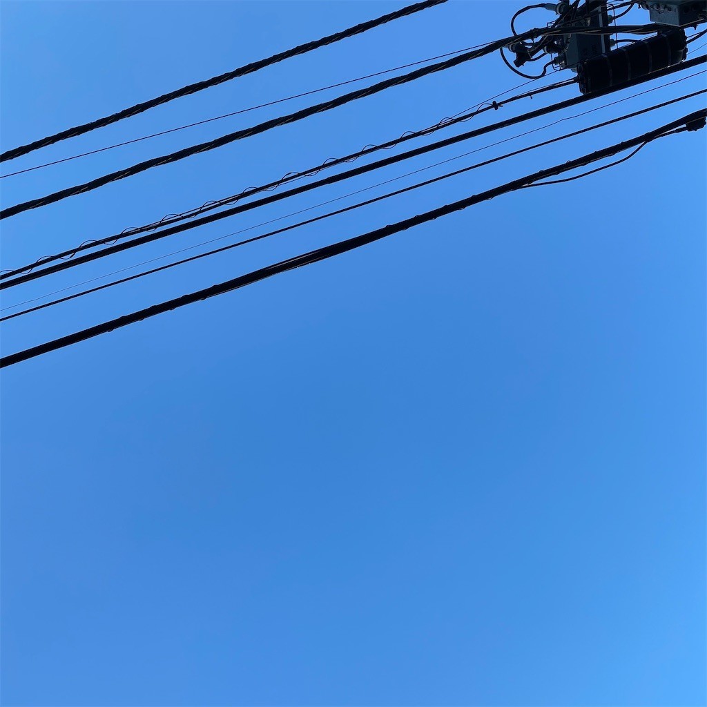 f:id:PENGUINS_PROJECT:20210129100010j:image f:id:PENGUINS_PROJECT:20210129100010j:image