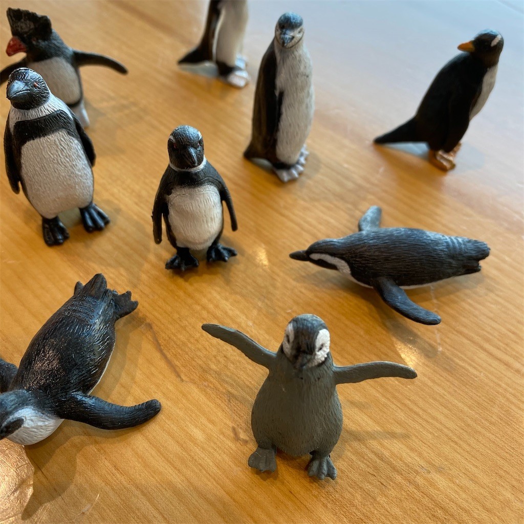f:id:PENGUINS_PROJECT:20210309083228j:image f:id:PENGUINS_PROJECT:20210309083228j:image