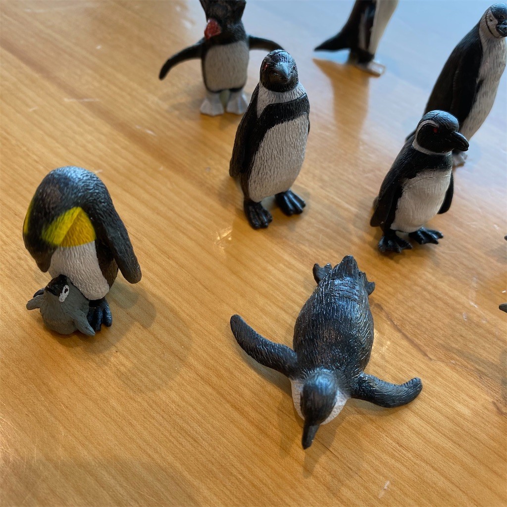 f:id:PENGUINS_PROJECT:20210327072204j:image f:id:PENGUINS_PROJECT:20210327072204j:image