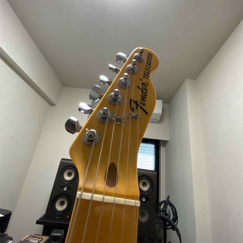 f:id:PENGUINS_PROJECT:20210529075708j:image