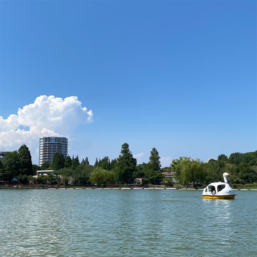 f:id:PENGUINS_PROJECT:20210811151818j:image f:id:PENGUINS_PROJECT:20210811151818j:image