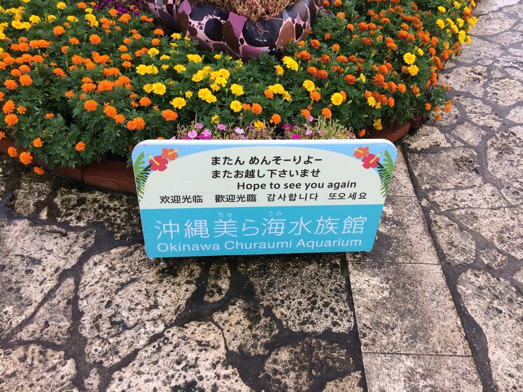 f:id:PET_HAL:20181127214136j:plain