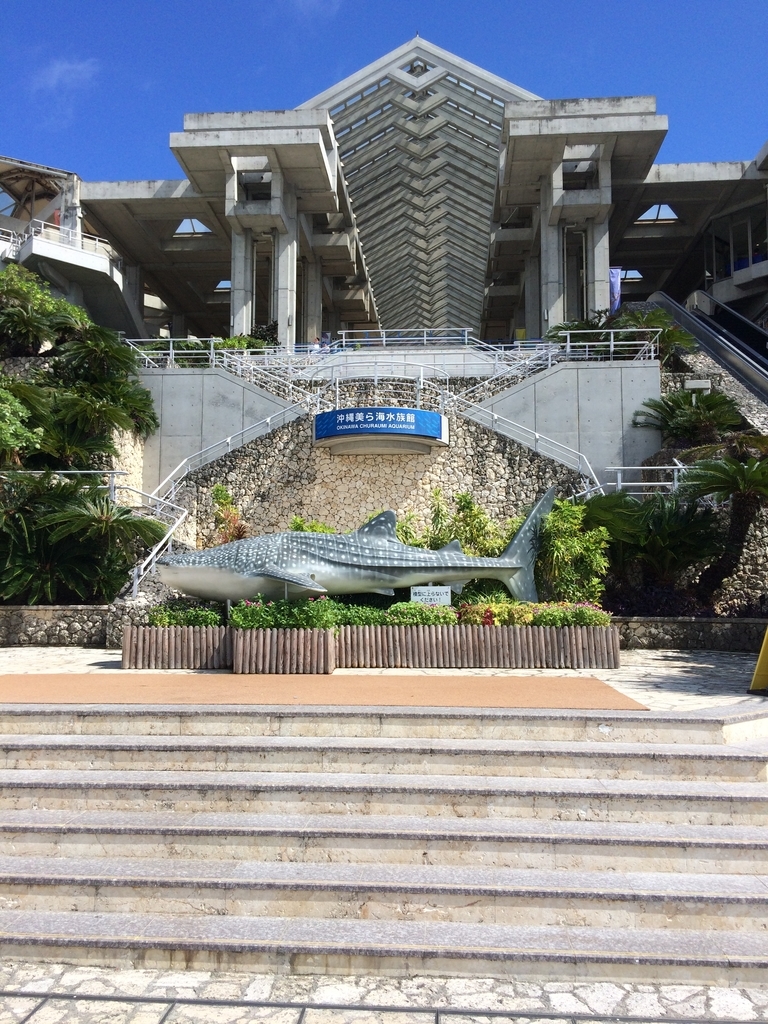 f:id:PET_HAL:20181127220400j:plain