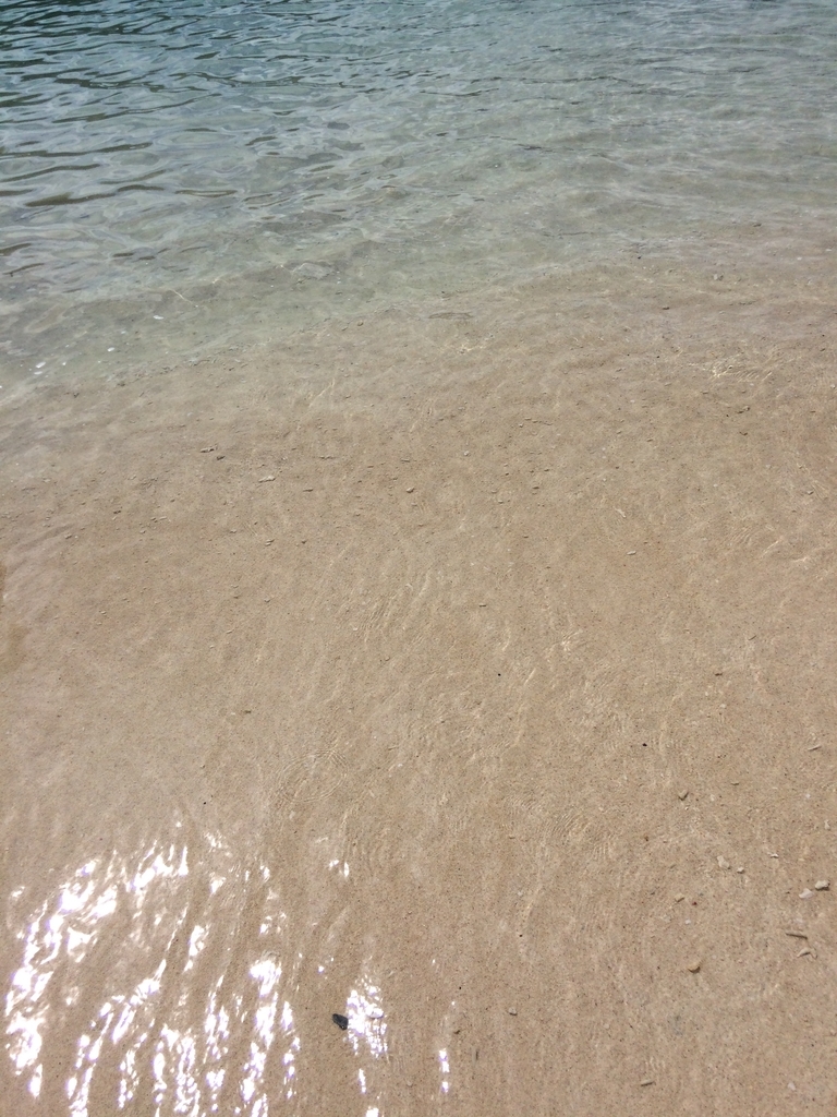 f:id:PET_HAL:20181130225731j:plain