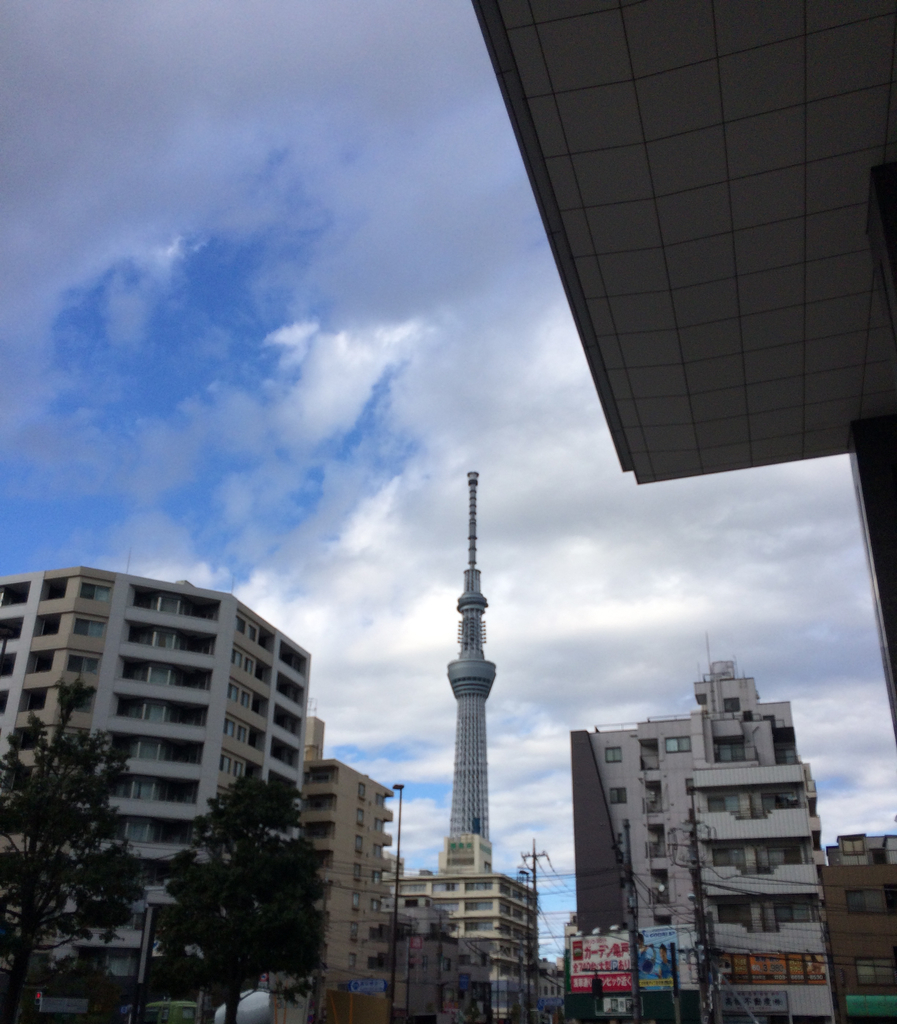 f:id:PET_HAL:20181201212735j:plain