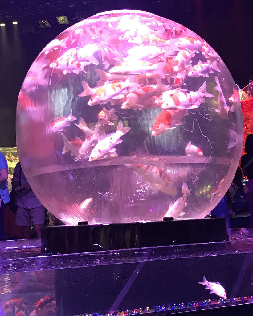 アースアクアリウム・ジャポニズム