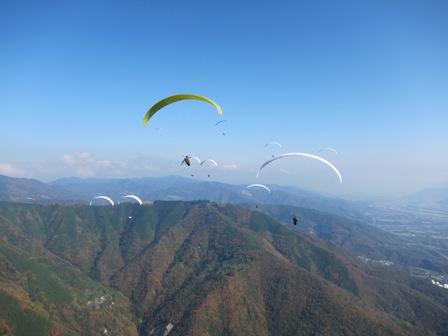 f:id:PG-Compe:20101120121127j:image