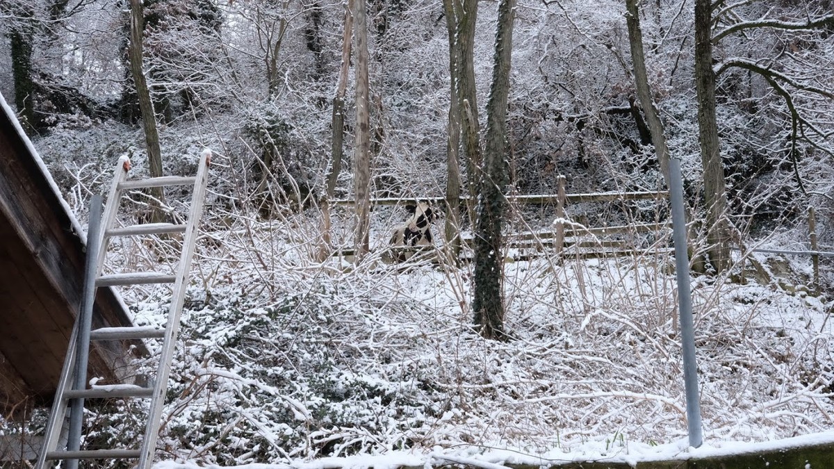 f:id:PIATTI:20190410180401j:plain f:id:PIATTI:20190410180401j:plain