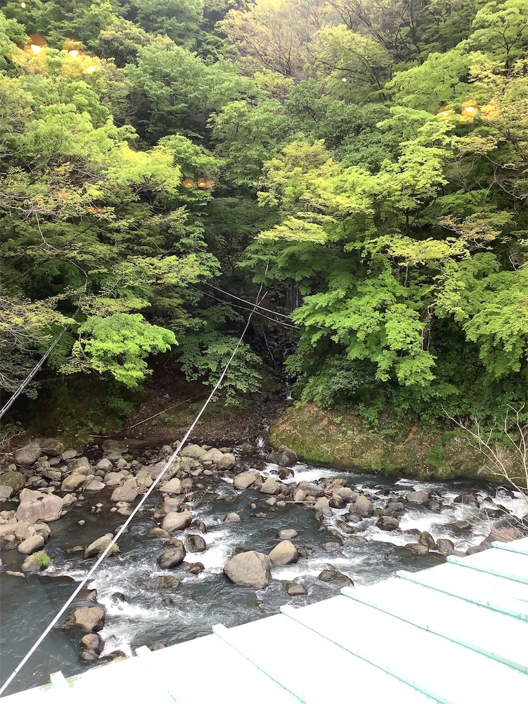 f:id:PICO-SUKE:20190525195627j:image
