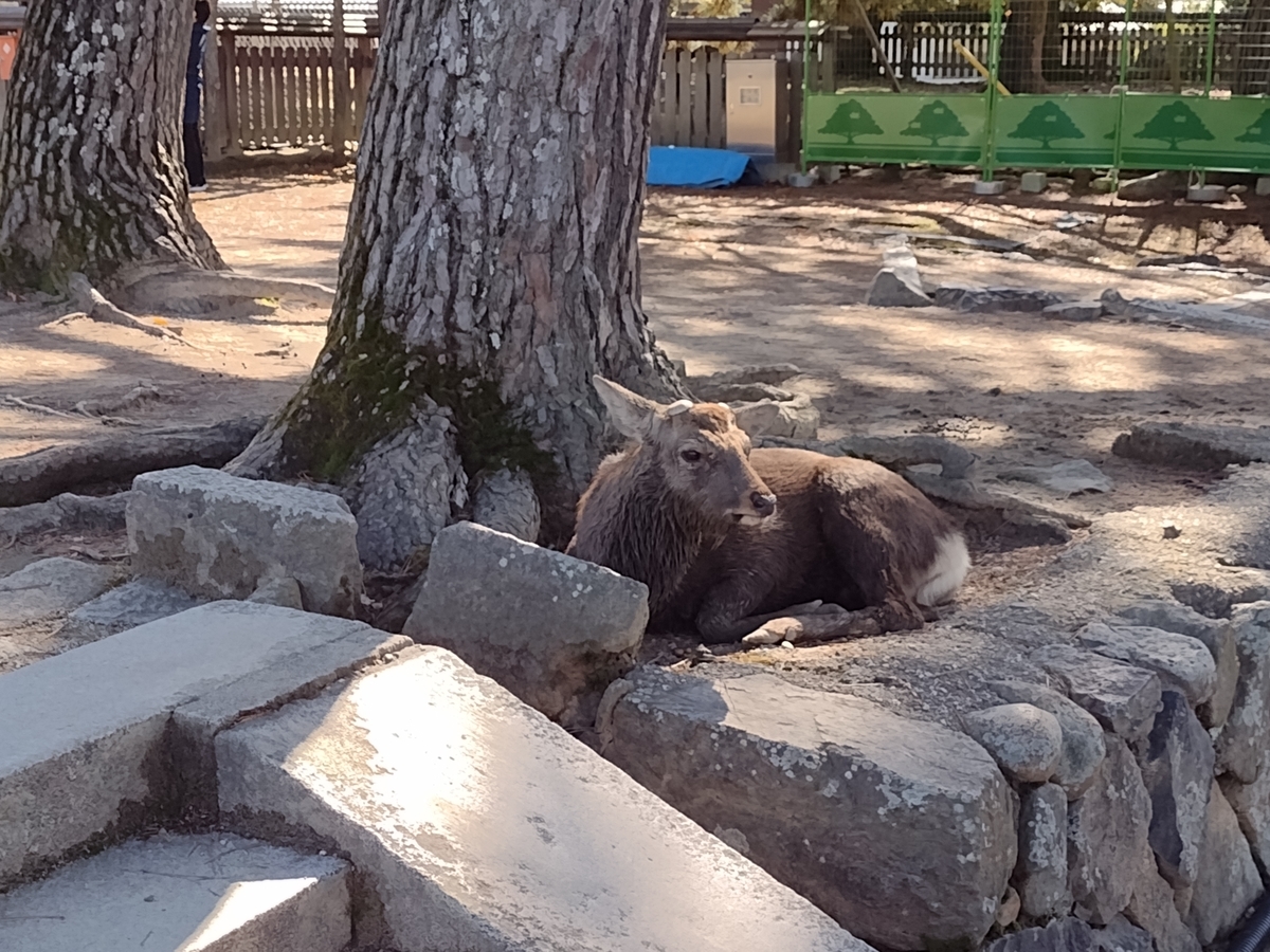 f:id:PI_EATER:20211211222200j:plain