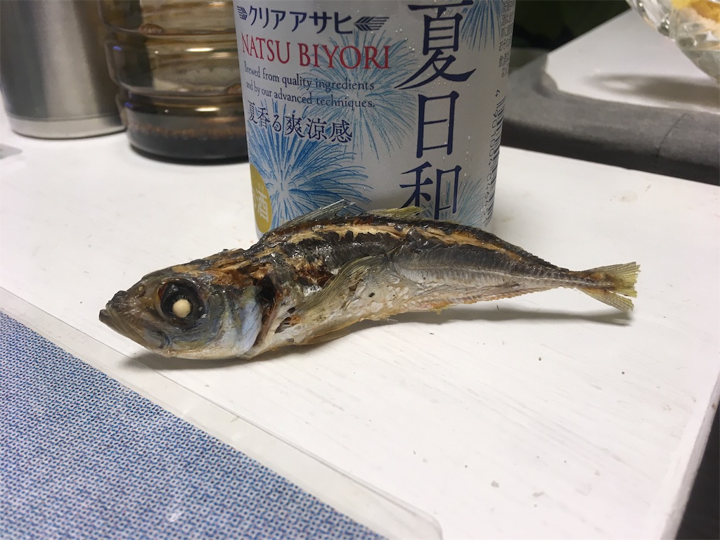 f:id:PKyamamoto:20190603003309j:image