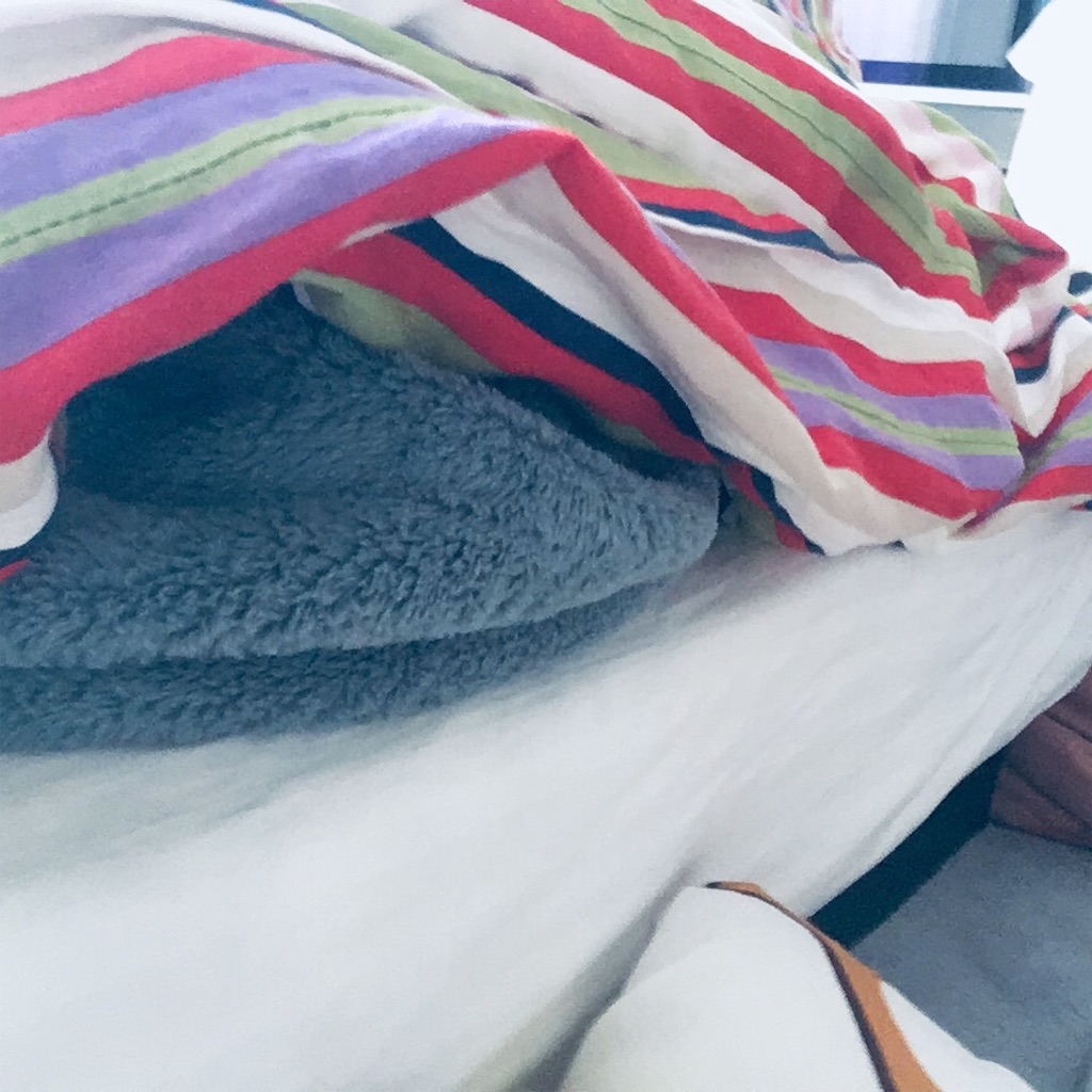 f:id:PKyamamoto:20190615095231j:image f:id:PKyamamoto:20190615095231j:image