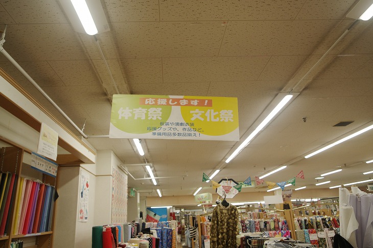 f:id:PKyamamoto:20191112133511j:plain