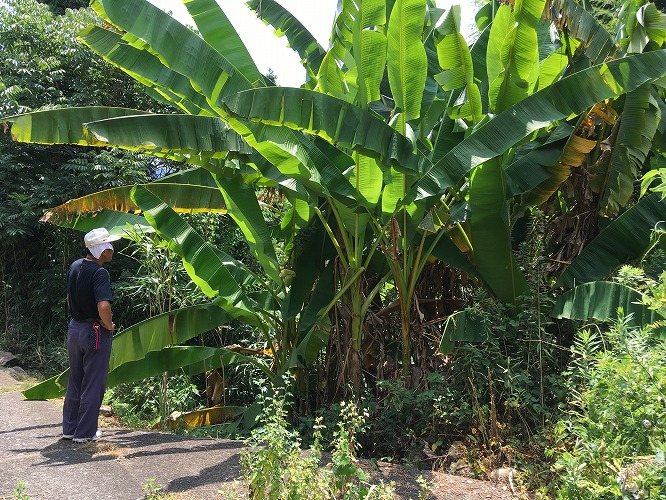 f:id:PKyamamoto:20191225143216j:plain f:id:PKyamamoto:20191225143216j:plain