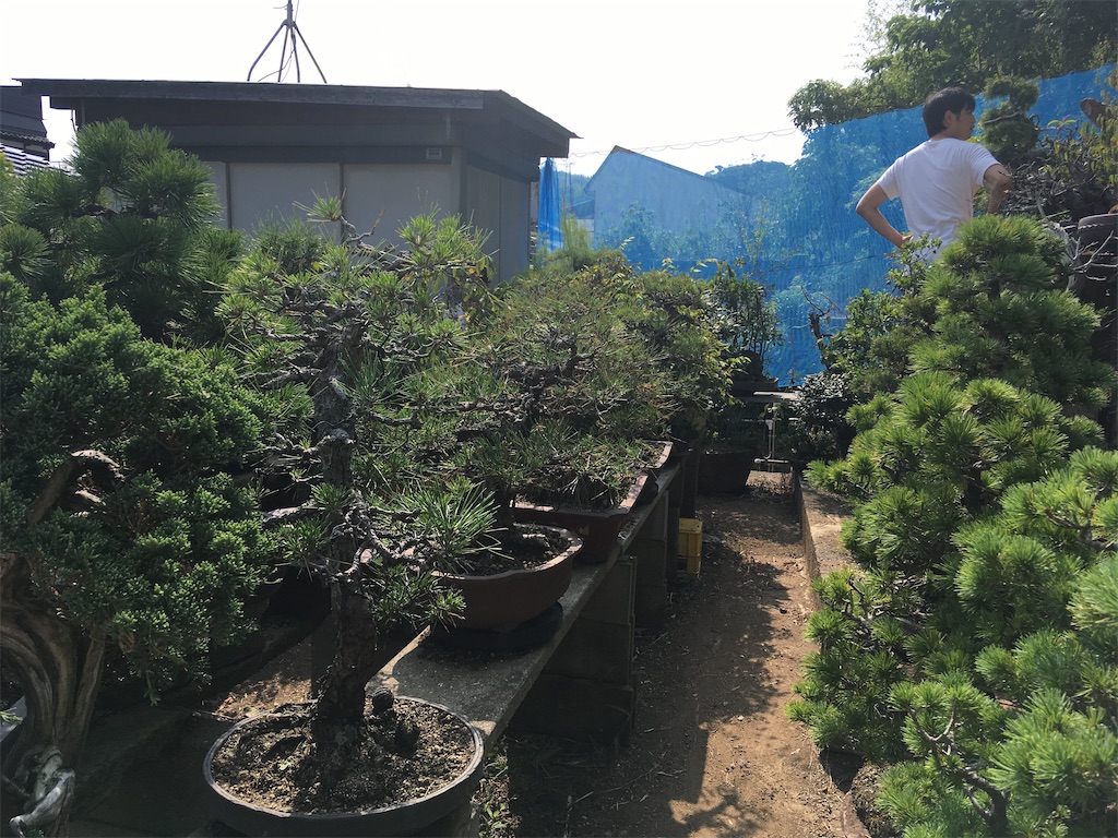 f:id:PKyamamoto:20200225180801j:image f:id:PKyamamoto:20200225180801j:image