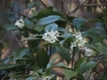 20260315182355
