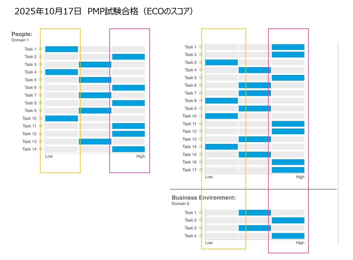 PMP試験　ECOのタスク