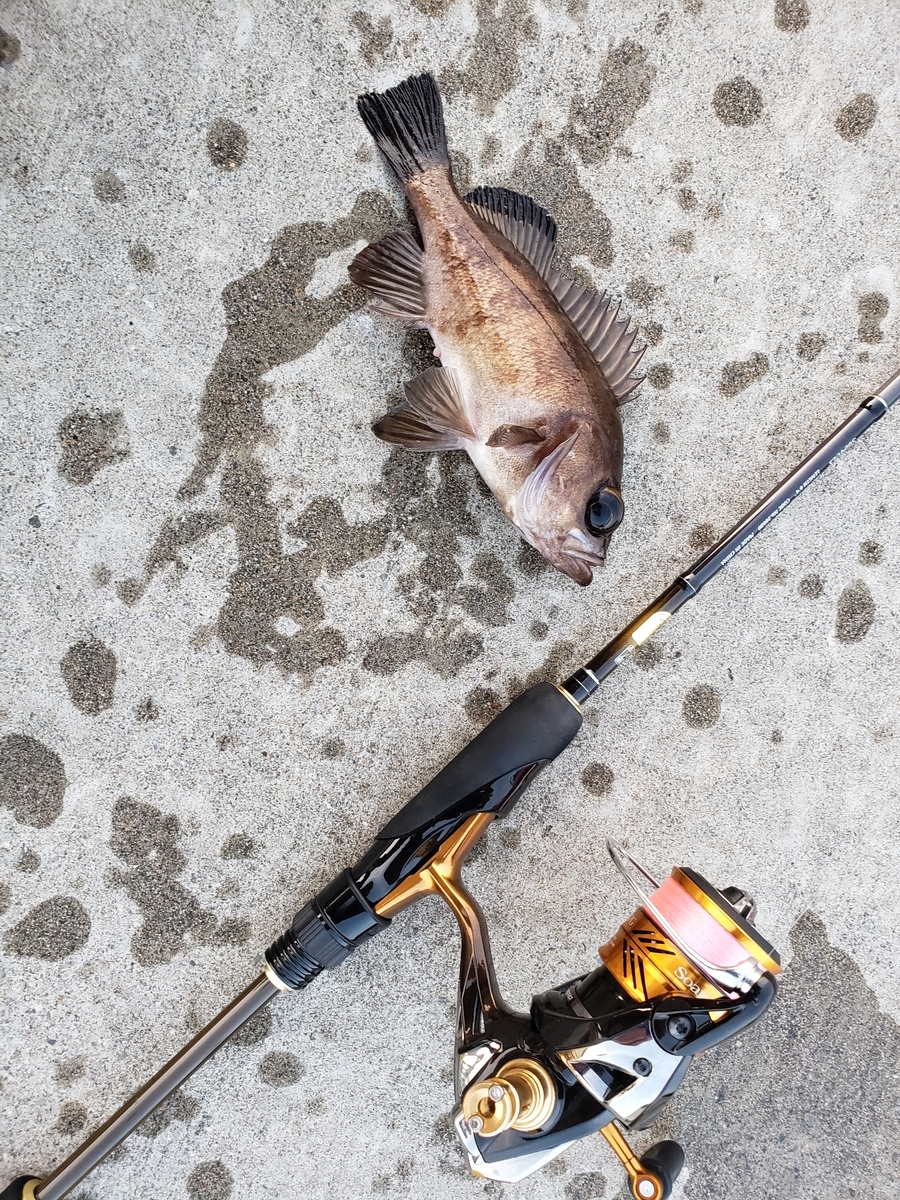 とある釣りバカの備忘録