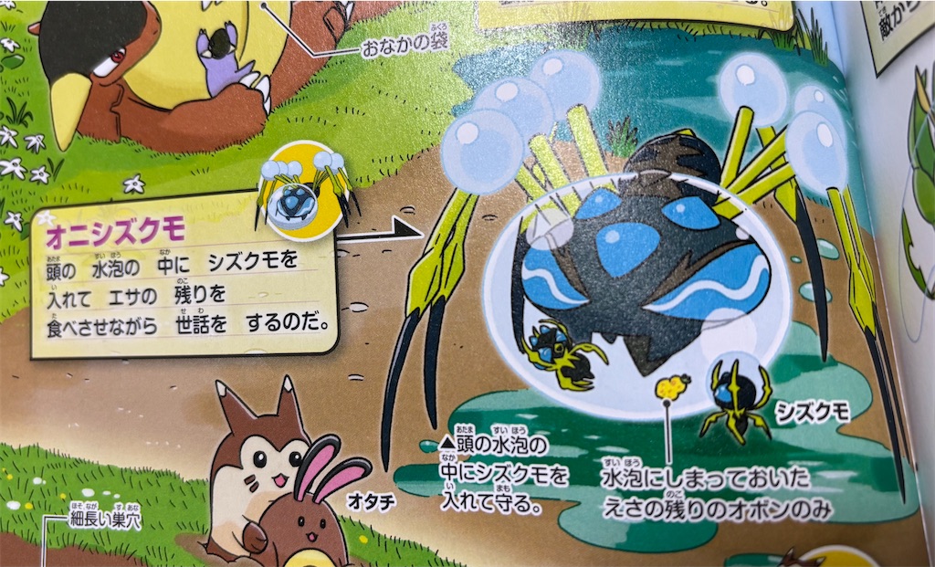 f:id:POKEpapa:20251220113723j:image