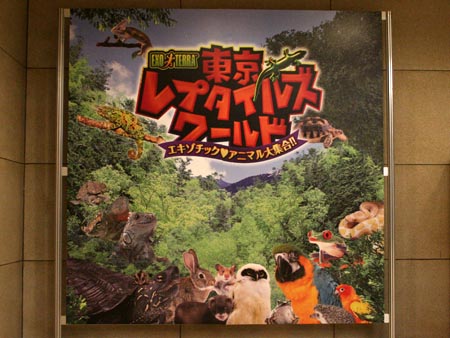 f:id:POKKUN1973:20201004203340j:plain