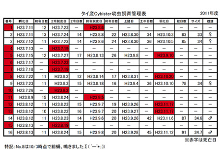 f:id:POKKUN1973:20201007211120j:plain