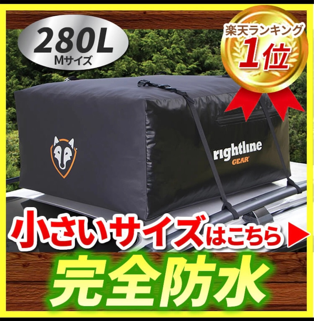 f:id:POLJfZrvyK4AhuN:20201019200409j:image