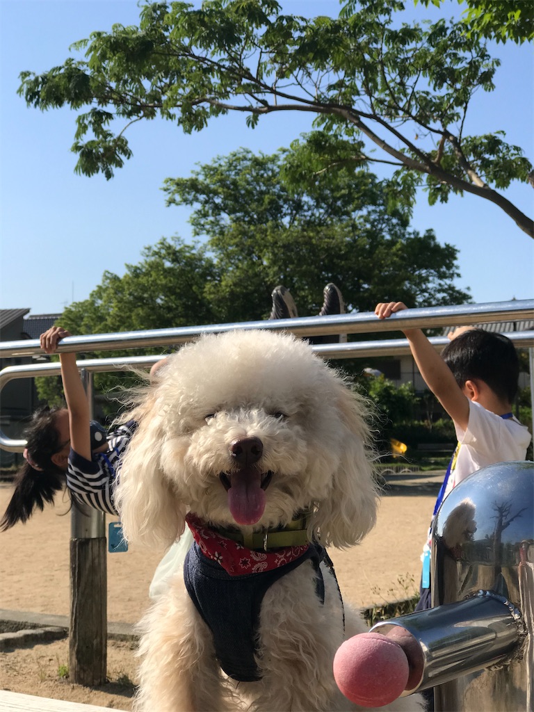 f:id:POLO2018:20200529191156j:image