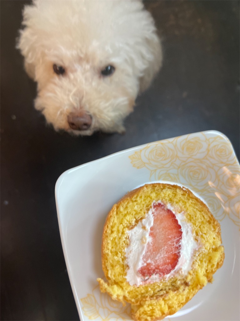 f:id:POLO2018:20250309172726j:image