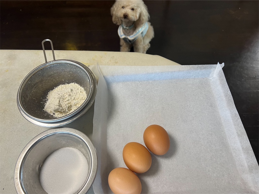 f:id:POLO2018:20250309172729j:image