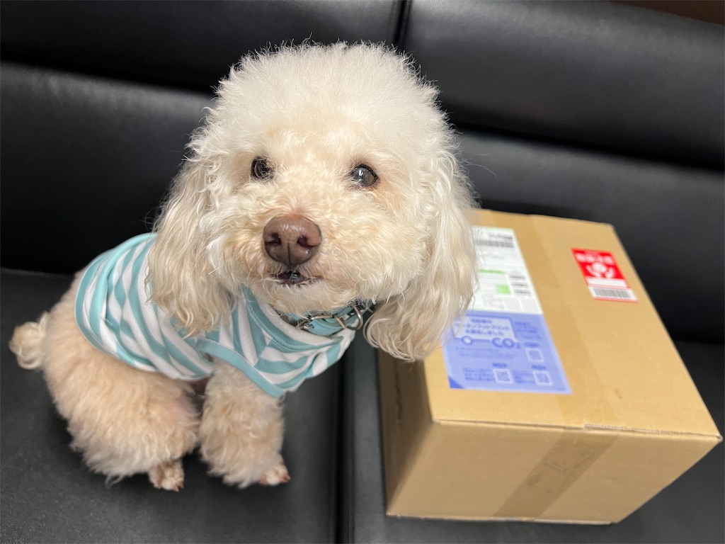 f:id:POLO2018:20250516183450j:image