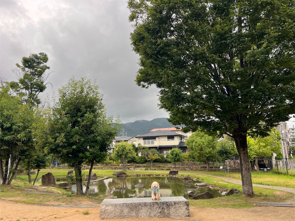 f:id:POLO2018:20250810180409j:image