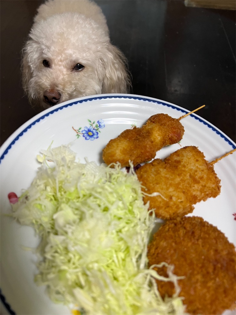 f:id:POLO2018:20251109165017j:image