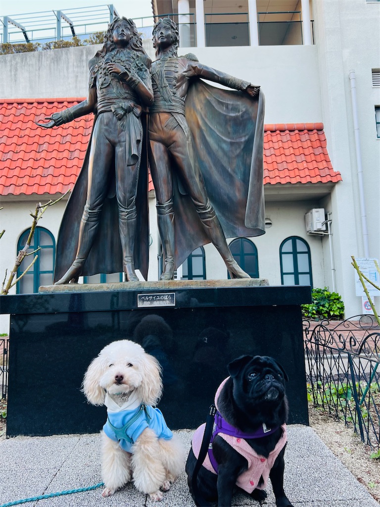 f:id:POLO2018:20251119185526j:image