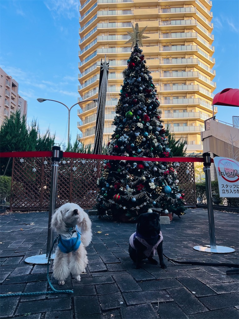 f:id:POLO2018:20251119185533j:image