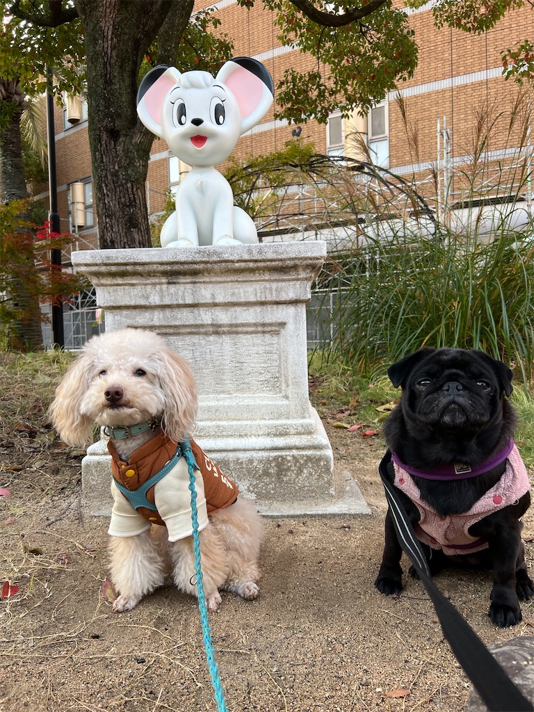 f:id:POLO2018:20251120175839j:image