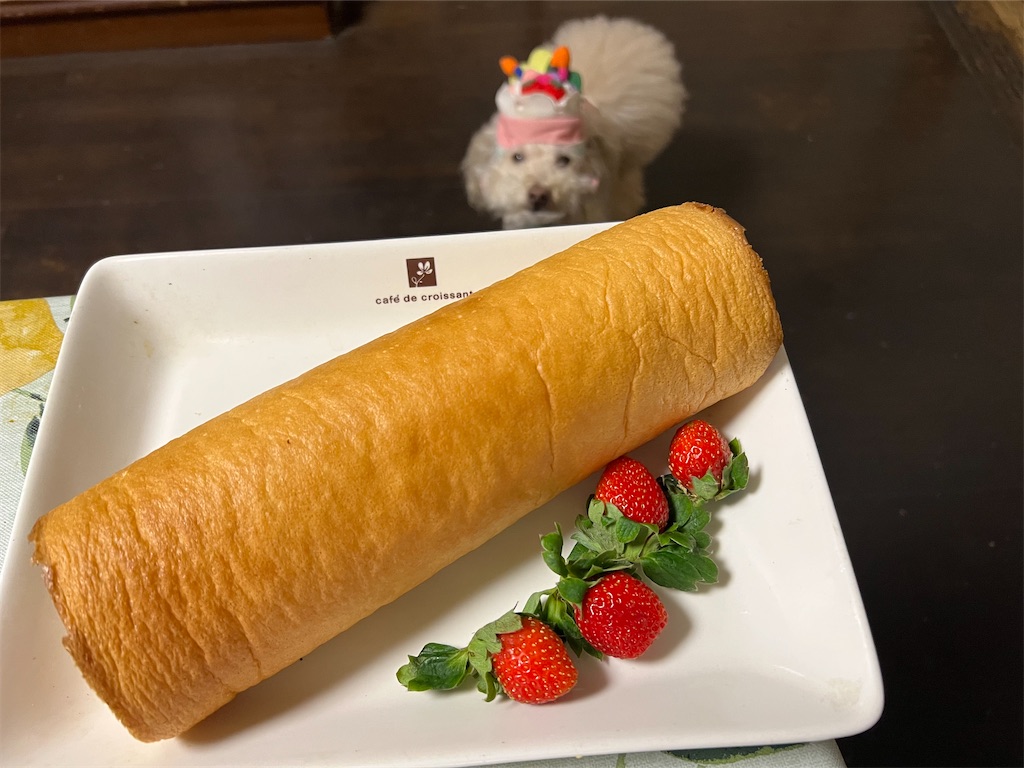 f:id:POLO2018:20251121193724j:image