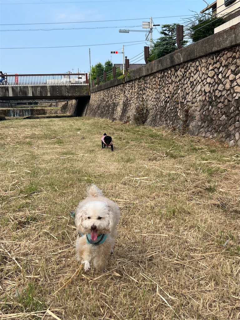 f:id:POLO2018:20260723172235j:image