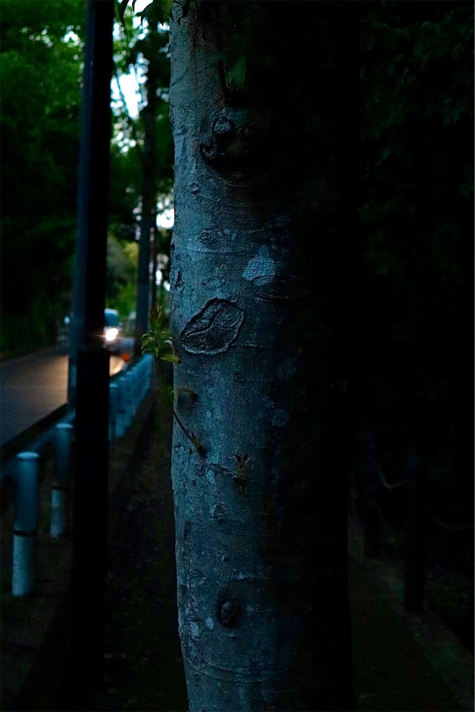 f:id:PONAPALTA:20210607020834j:image f:id:PONAPALTA:20210607020834j:image